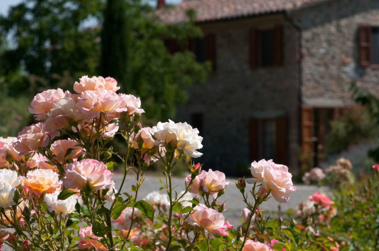 Agriturismo Le Valli Casciana Terme Eksteriør billede