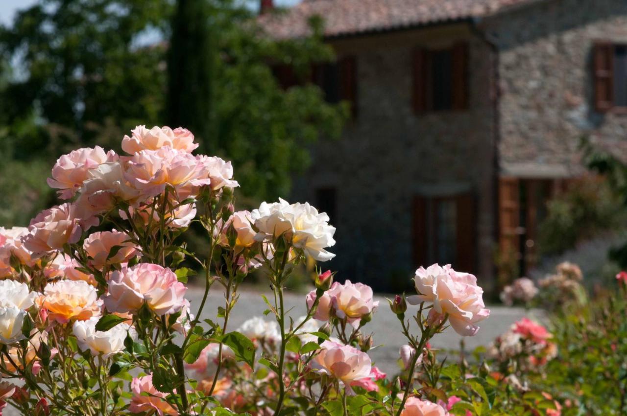 Agriturismo Le Valli Pensionat Casciana Terme Eksteriør billede